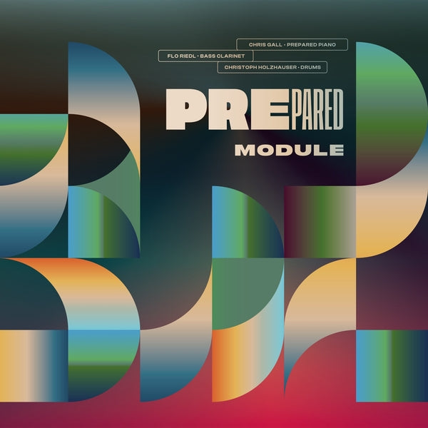 Module [Vinyl] Vinyl Record