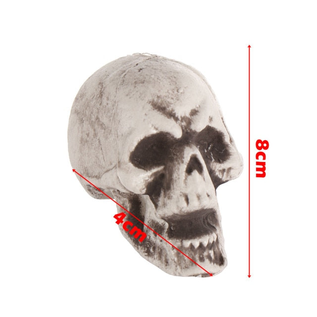 Human Skull Head Skeleton Hanging Skull