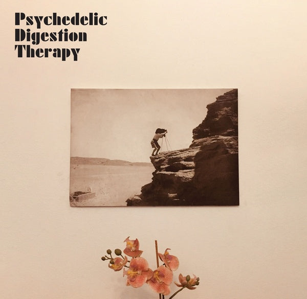 Psychedelic Digestion Therapy Vinyl Record