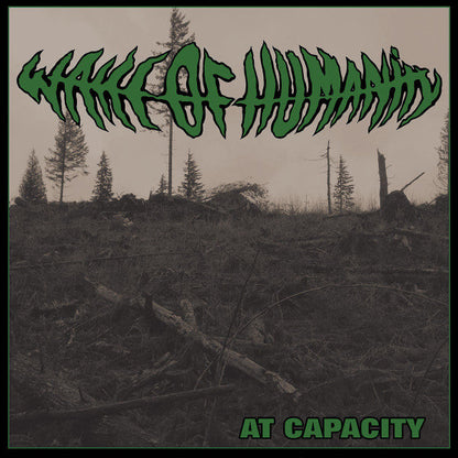 At Capacity (TRANSPARENT GREEN MARBLE VINYL 7") Vinyl Record