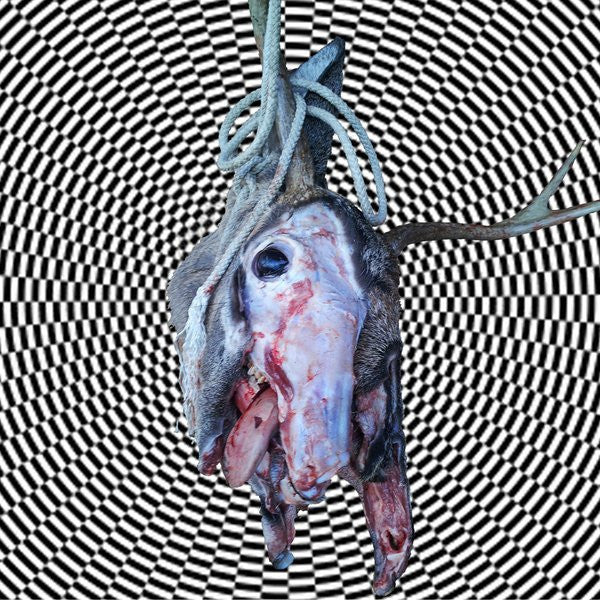 Feral King / Lonely Ghost Parade (RED/BLUE VINYL 7") Vinyl Record