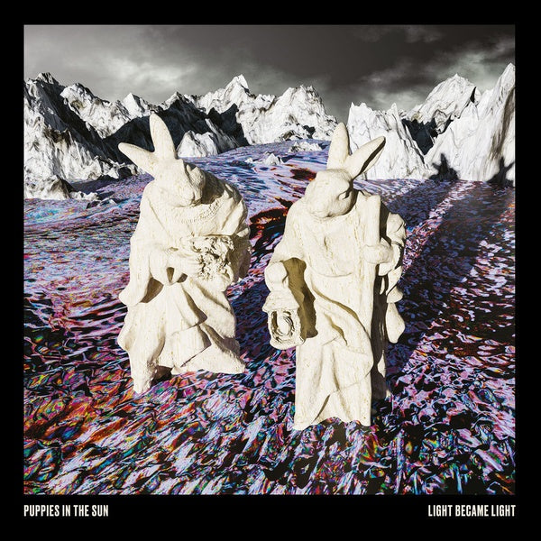 PUPPIES IN THE SUN - Light Became Light Vinyl Record