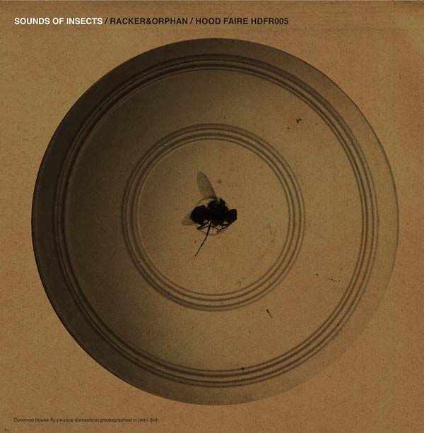RACKER & ORPHAN - Sounds of Insects Vinyl Record