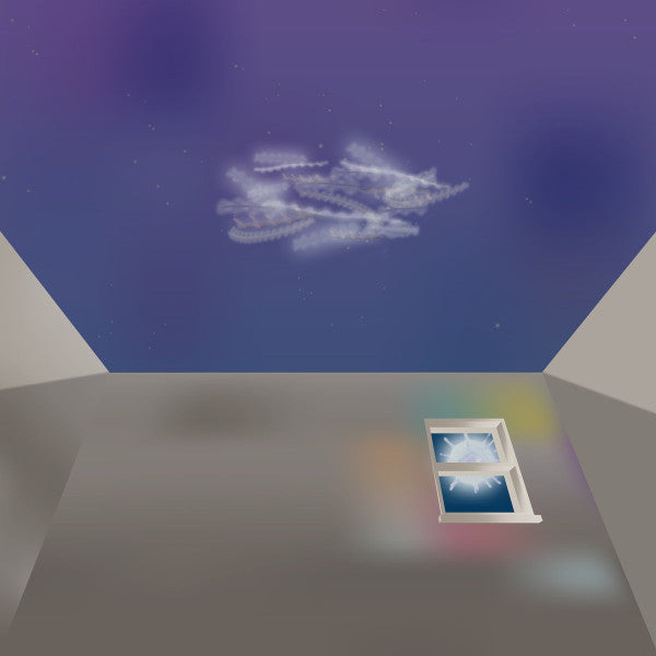 I Can't Sleep, I Can't Wake Up Vinyl Record