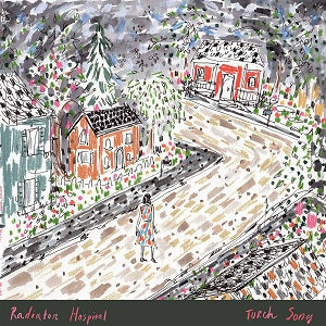 Radiator Hospital - Torch Song Vinyl Record
