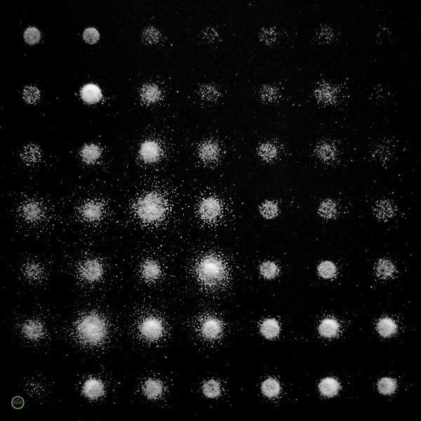 RAYON - A Beat Of Silence Vinyl Record