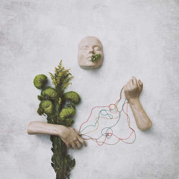 red steppes - A Mouth May Grow Vinyl Record