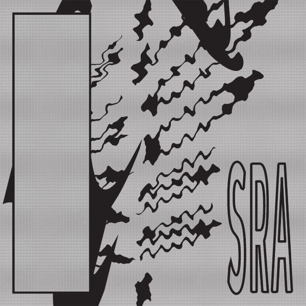 Silk Road Assassins - Reflection Spaces Vinyl Record