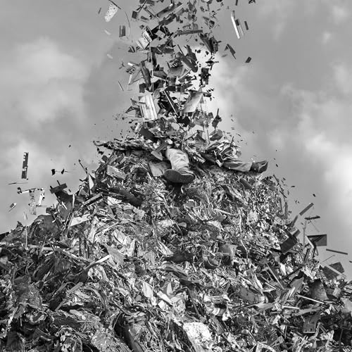 Freedom Sweet Freedom Vinyl Record