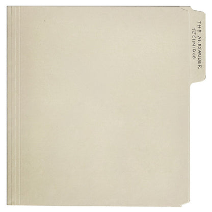 Rex Orange County - The Alexander Technique [Explicit Content] (Gatefold LP Jacket, Poster) (2 Lp's) [Vinyl]