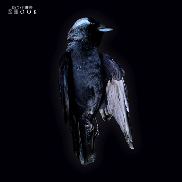 Shook [Vinyl] Vinyl Record