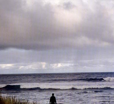 We're Fucked Music CD