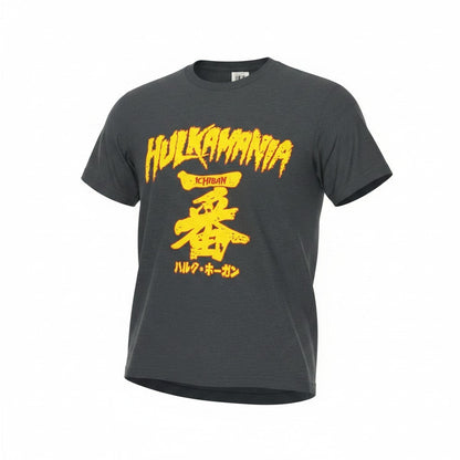 Gray Ichiban Adult T-Shirt