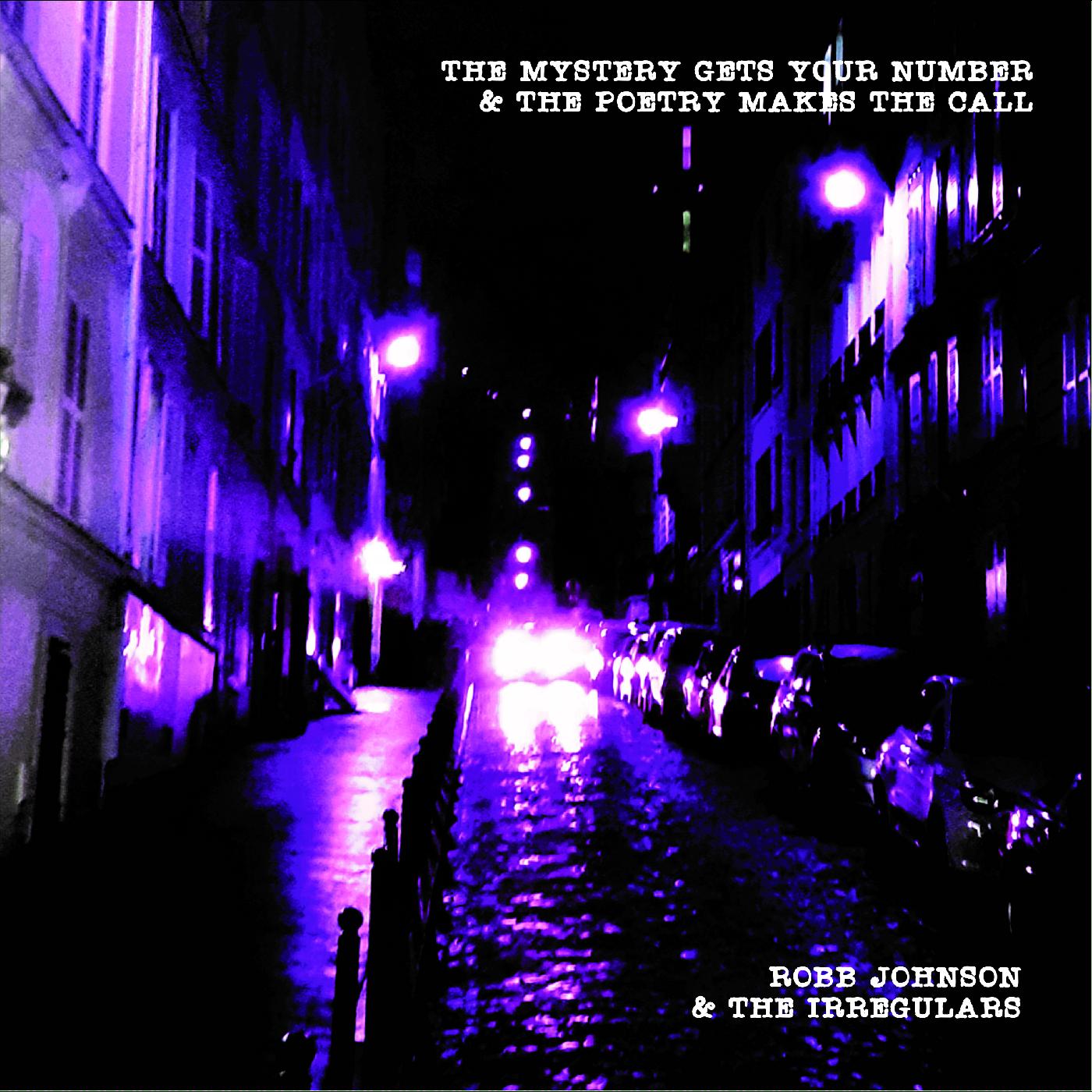 Robb & the Irregulars Johnson - The Mystery Gets Your Number & the Poetry Makes the Call Vinyl Record