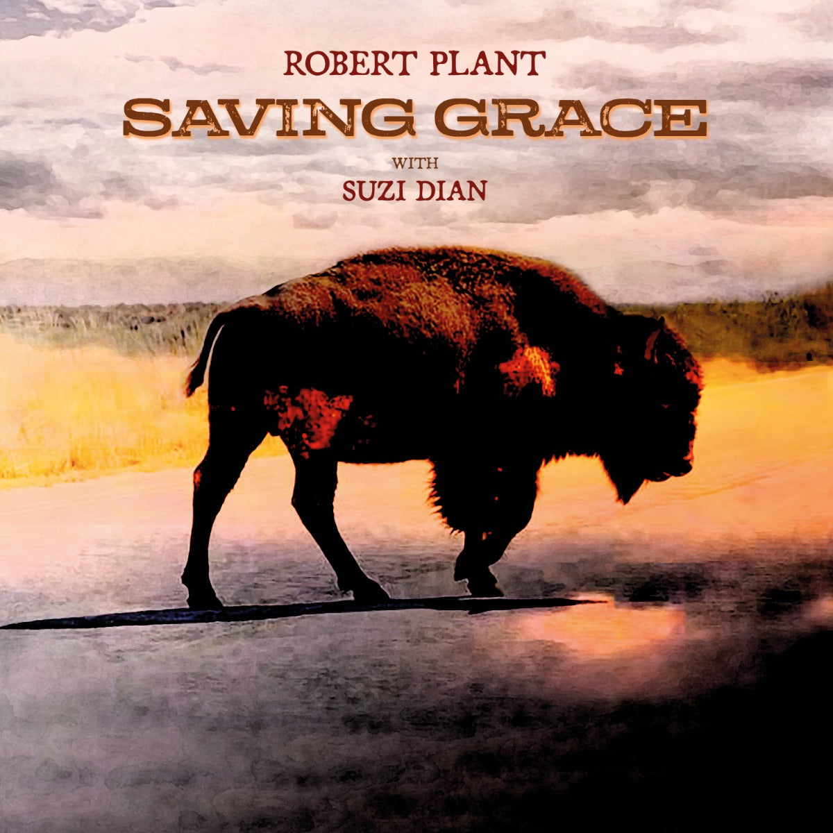 Saving Grace (140G Black Vinyl) Vinyl Record