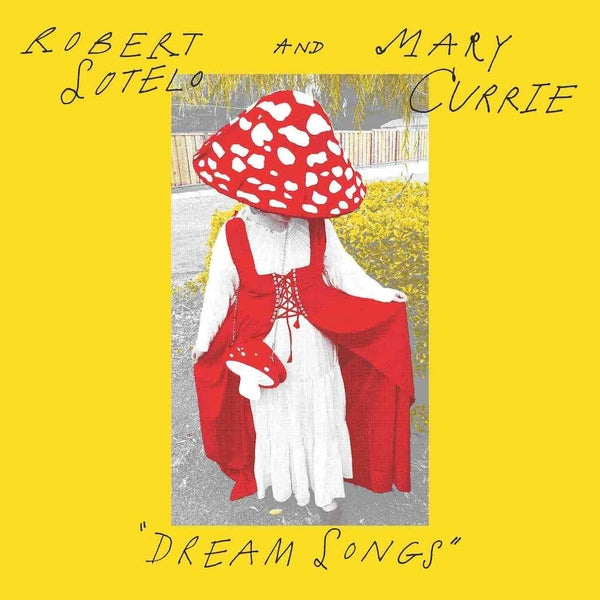 Dream Songs Vinyl Record