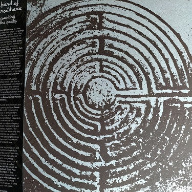 Counting The Beats  Vinyl Record