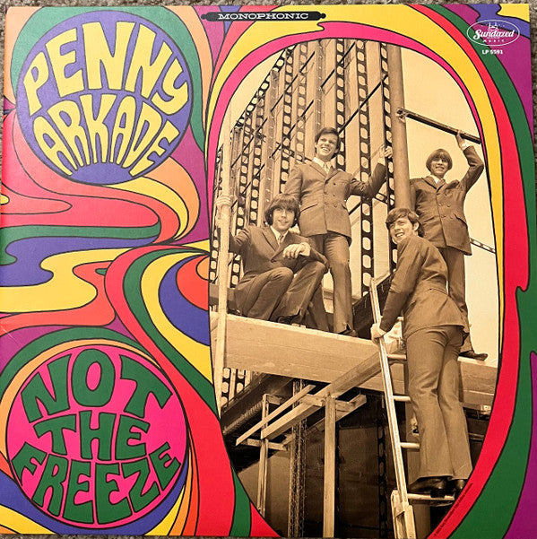 Not The Freeze Vinyl Record