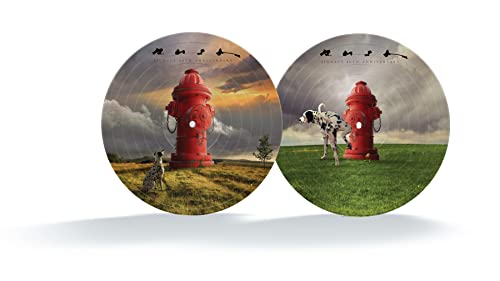 Signals (LTD 40th Anniversary Picture Disc) Vinyl Record