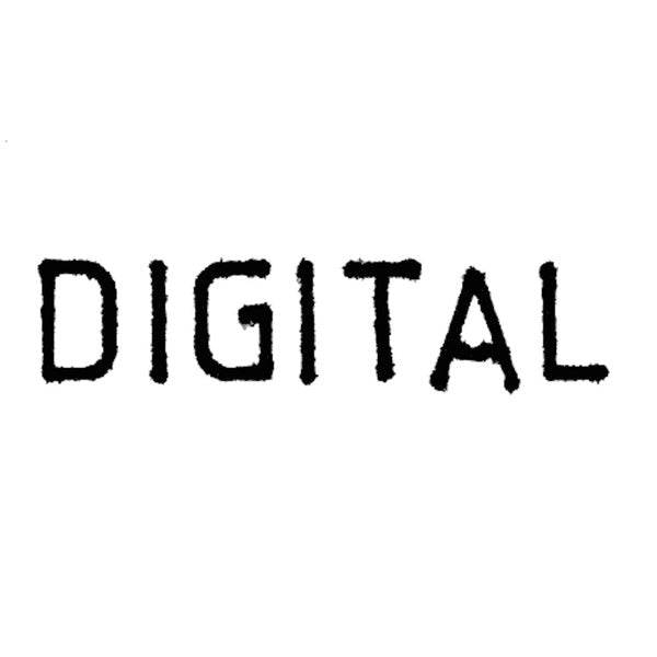Digital Vinyl Record