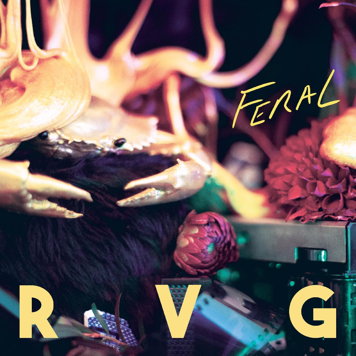 Feral Music CD