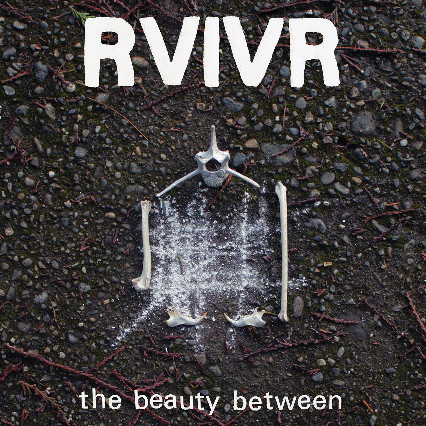 PRE-ORDER RVIVR - The Beauty Between [Black/Clear Vinyl] [Vinyl] Vinyl Record
