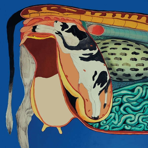 World of Wonder Vinyl Record