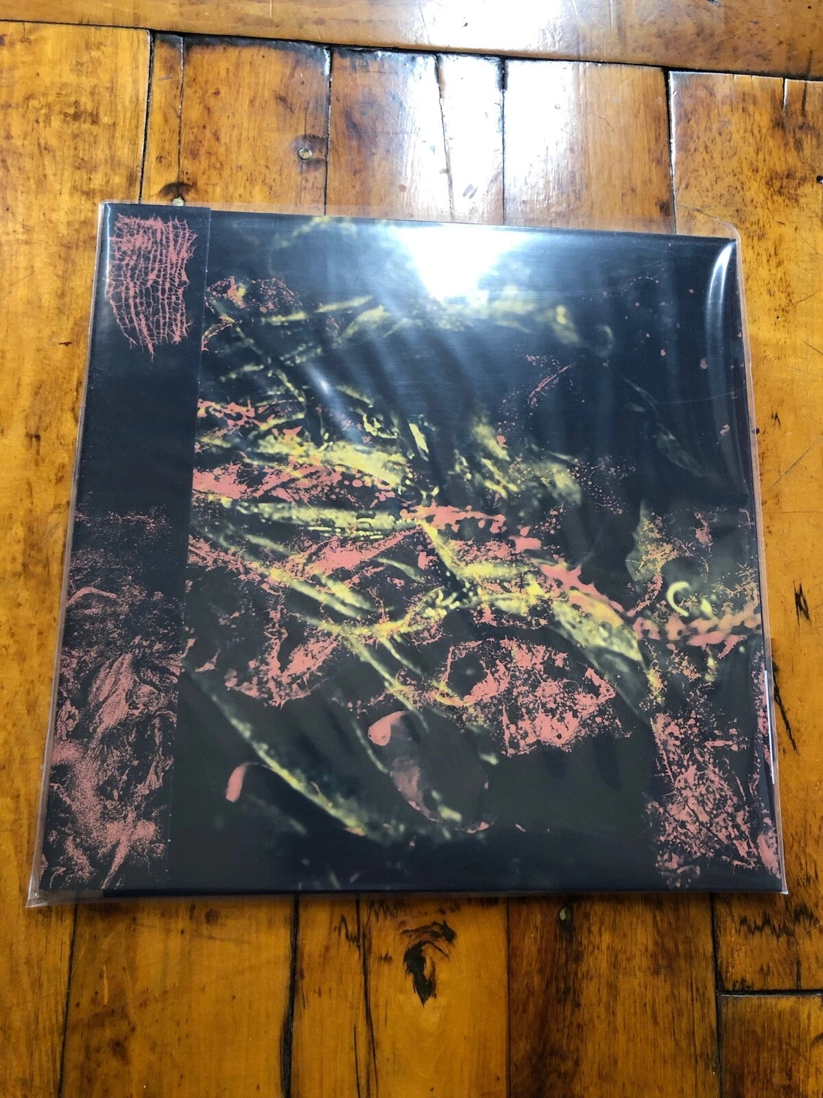 Hissing - Permanent Destitution [LP] Vinyl Record Album Cover