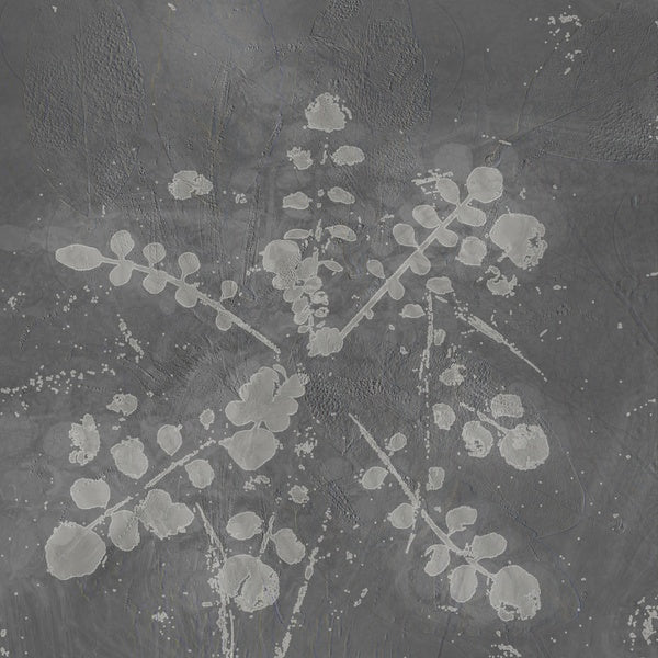 Music For Melted Floors [Vinyl] Vinyl Record