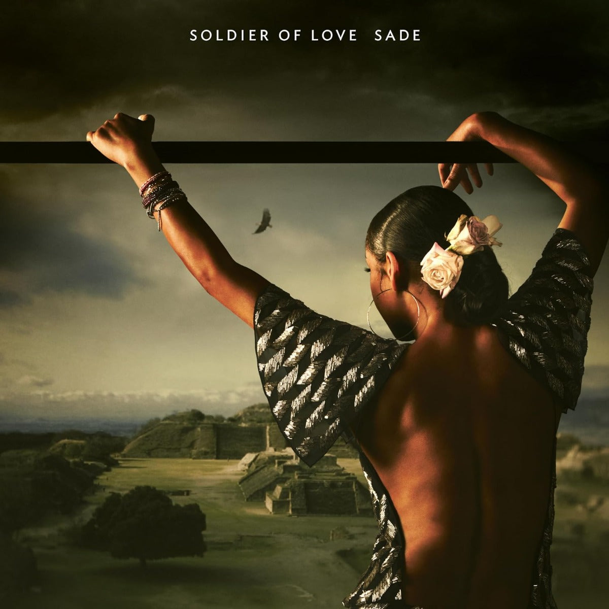 Soldier Of Love Vinyl Record