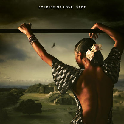 Soldier Of Love Vinyl Record
