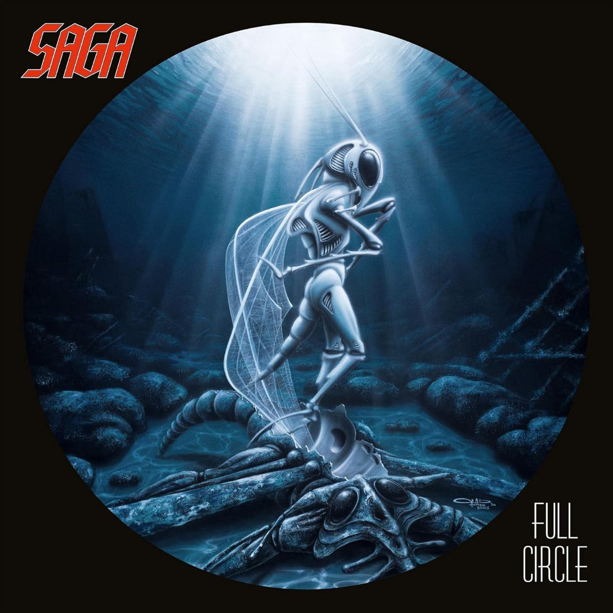 Full Circle (Remastered, 180 Gram Vinyl) [Vinyl] Vinyl Record