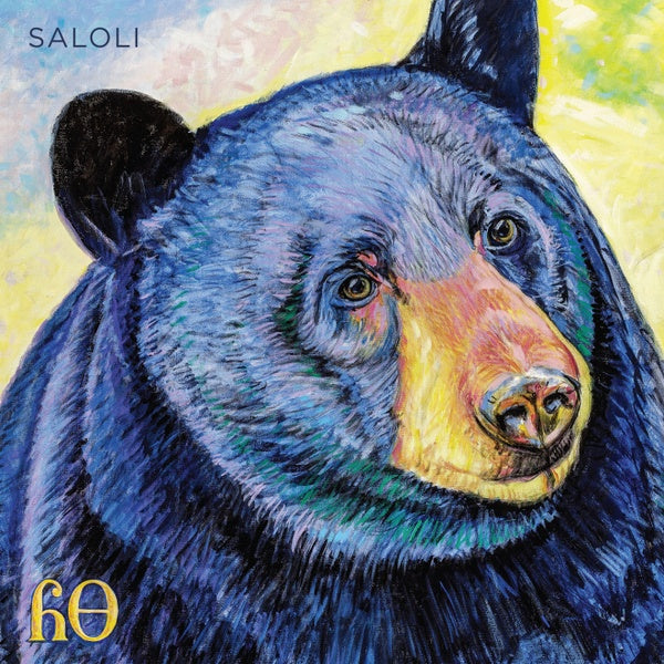 SALOLI - Canyon [Vinyl] Vinyl Record