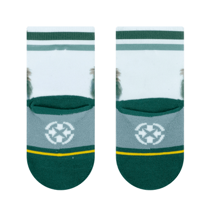 San Diego Zoo Bears Baby Socks 3 Pack