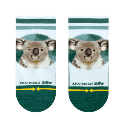 San Diego Zoo Bears Baby Socks 3 Pack