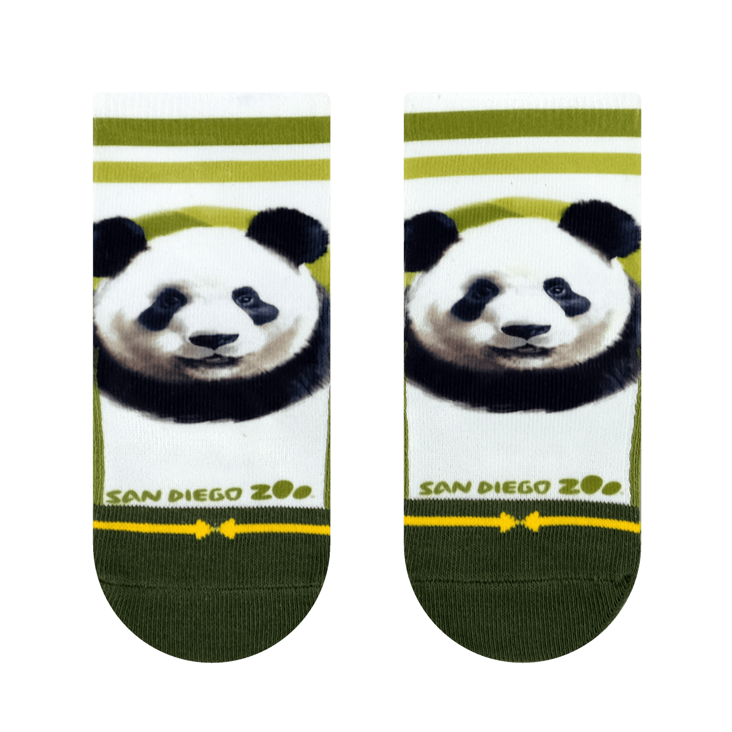 San Diego Zoo Bears Baby Socks 3 Pack