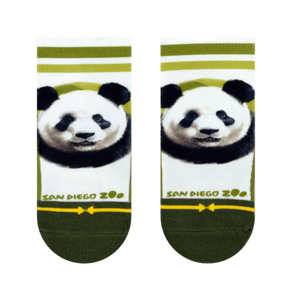 San Diego Zoo Bears Baby Socks 3 Pack