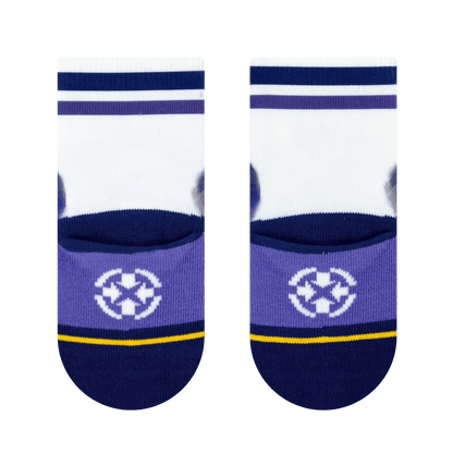 San Diego Zoo Bears Baby Socks 3 Pack