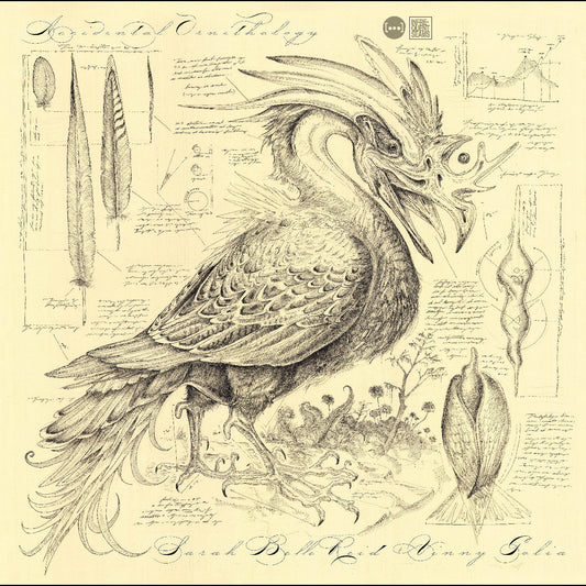 Accidental Ornithology Music CD