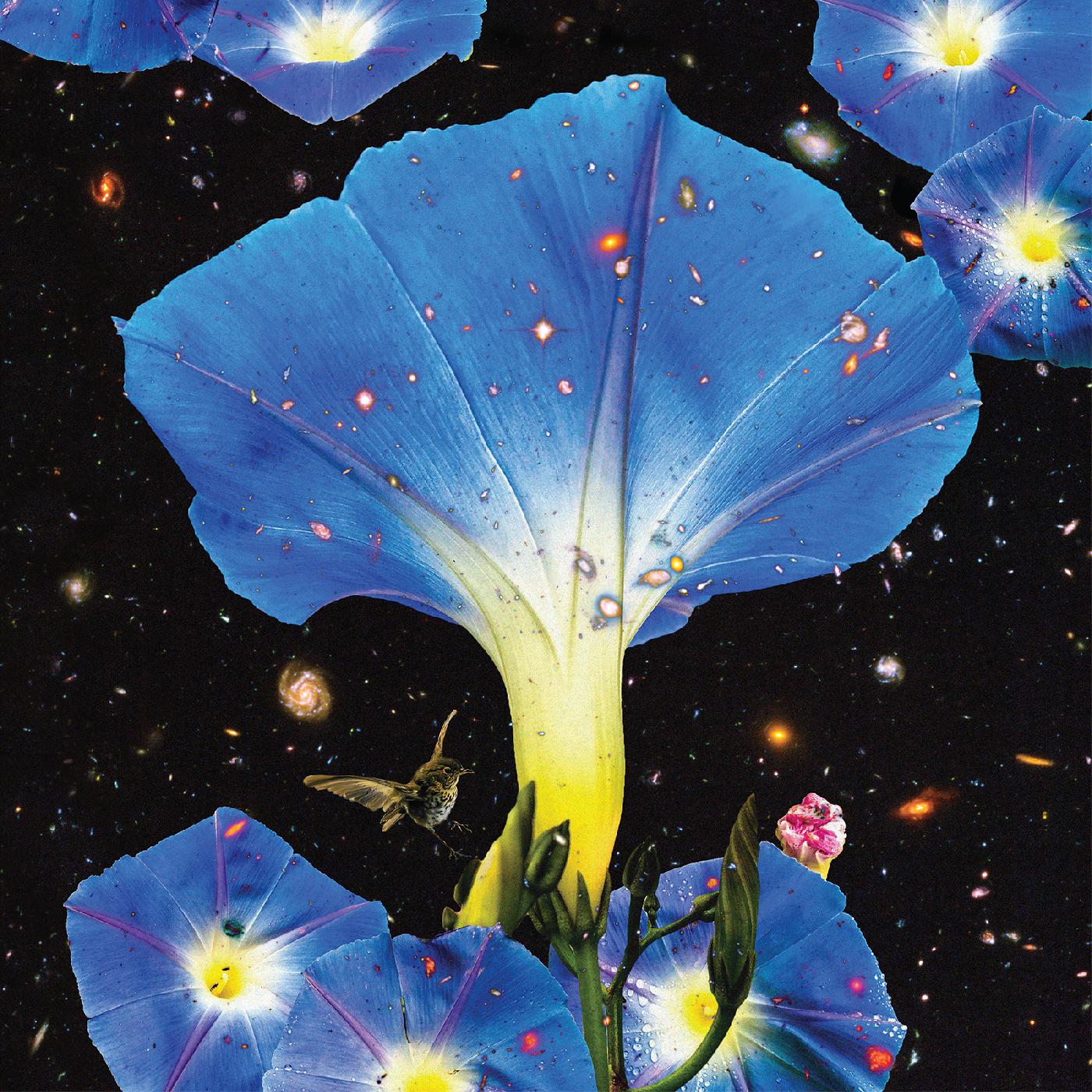 Sarah Louise - Nighttime Birds and Morning Stars Vinyl Record