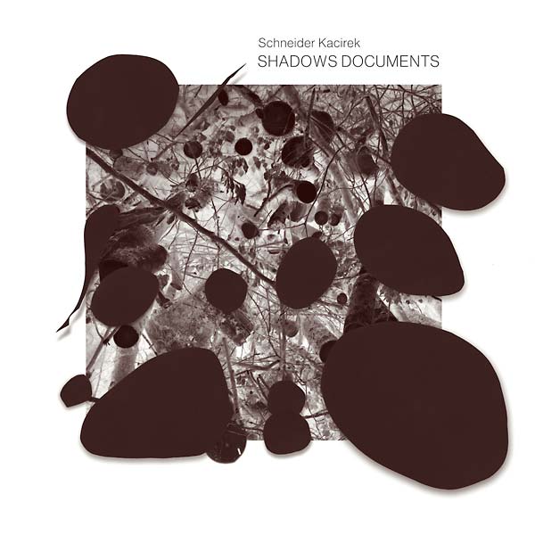 Shadows Documents Vinyl Record