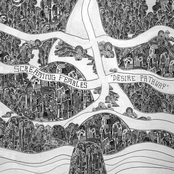 Desire Pathway Vinyl Record