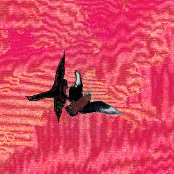 Sebastian Rojas - En La Orilla [LP] [Vinyl] Vinyl Record
