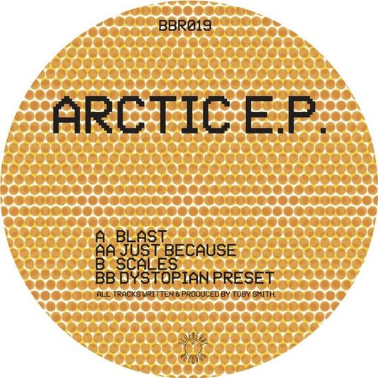 Arctic EP Vinyl Record
