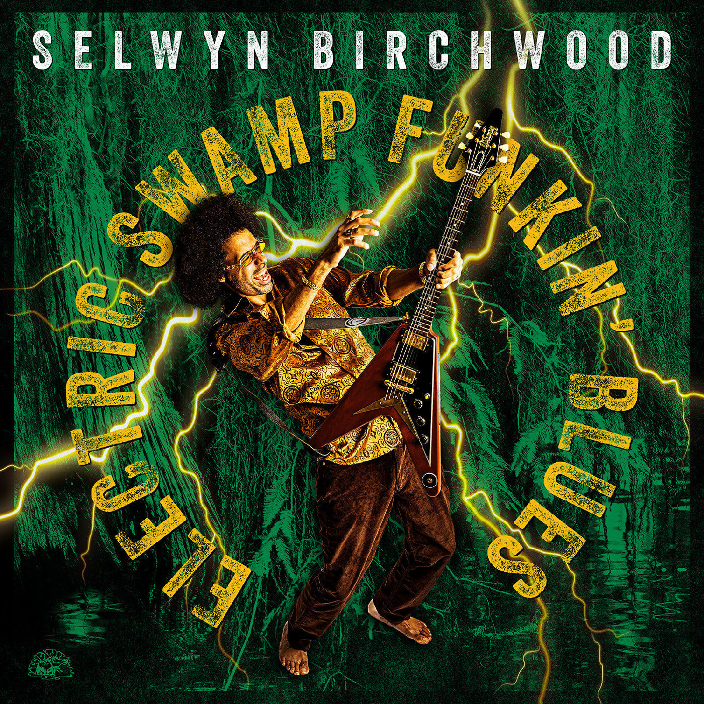Electric Swamp Funkin' Blues [Vinyl] Vinyl Record