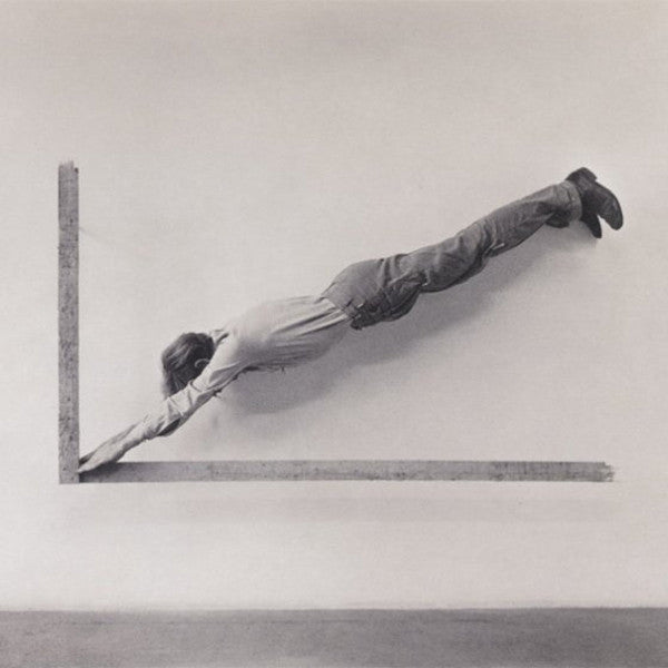 insignificant whip Vinyl Record