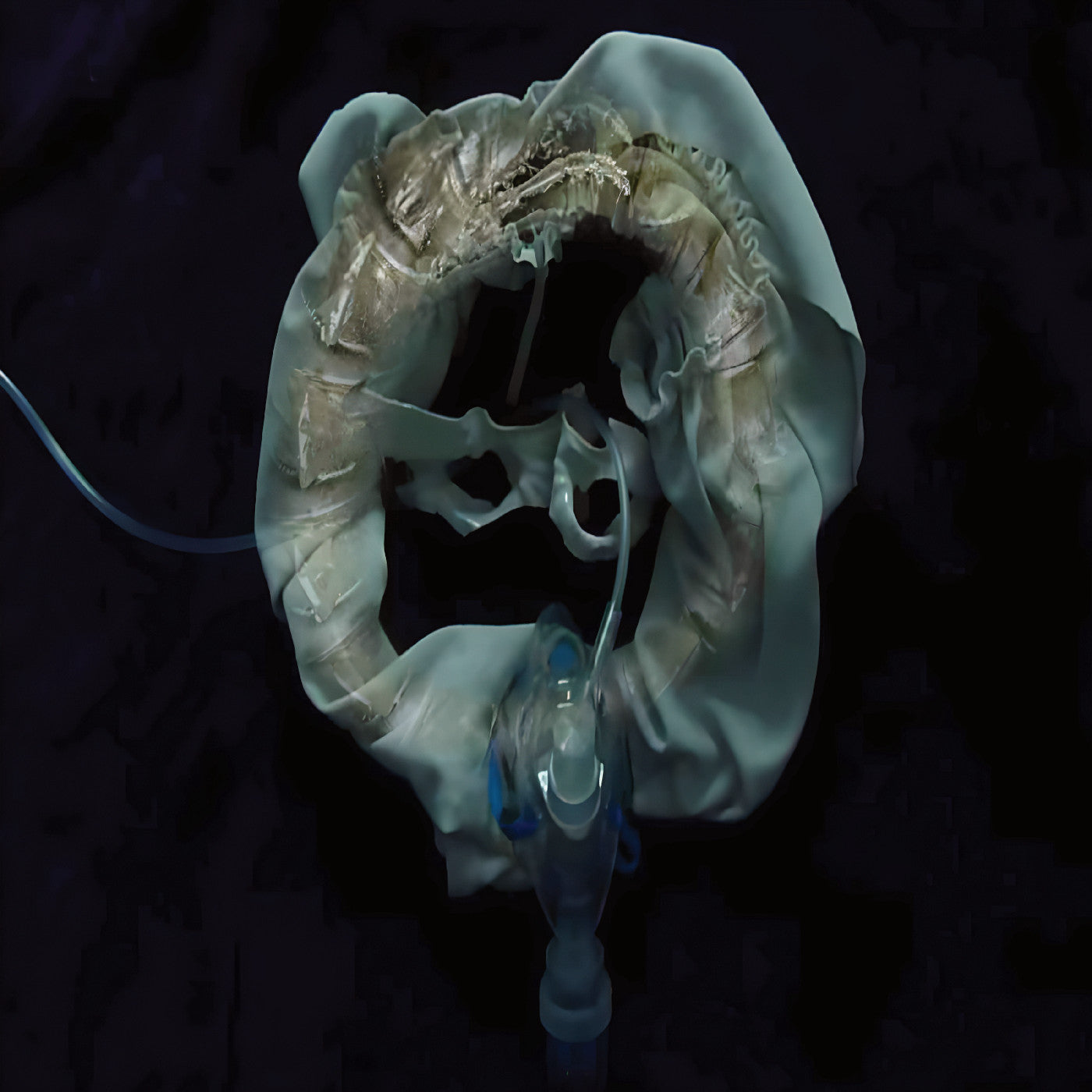 Initiatrix Vinyl Record