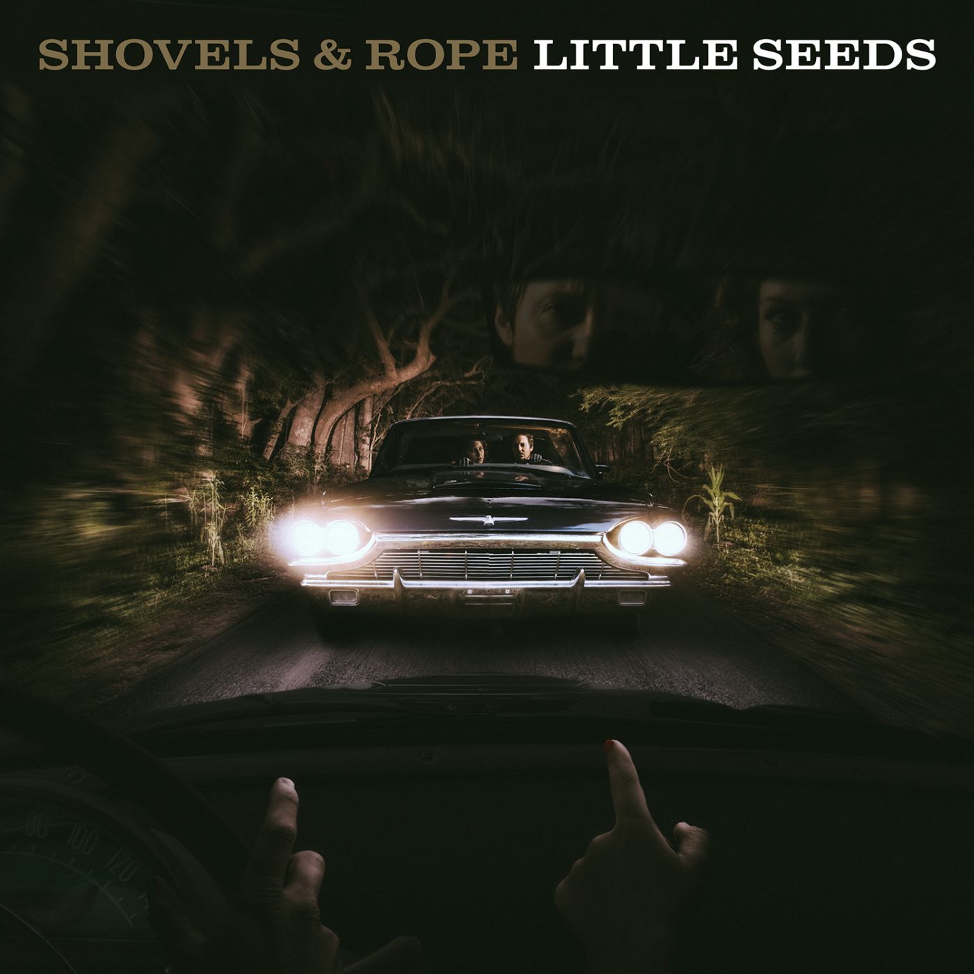Little Seeds Music CD