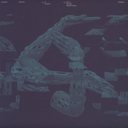 Transend EP Vinyl Record