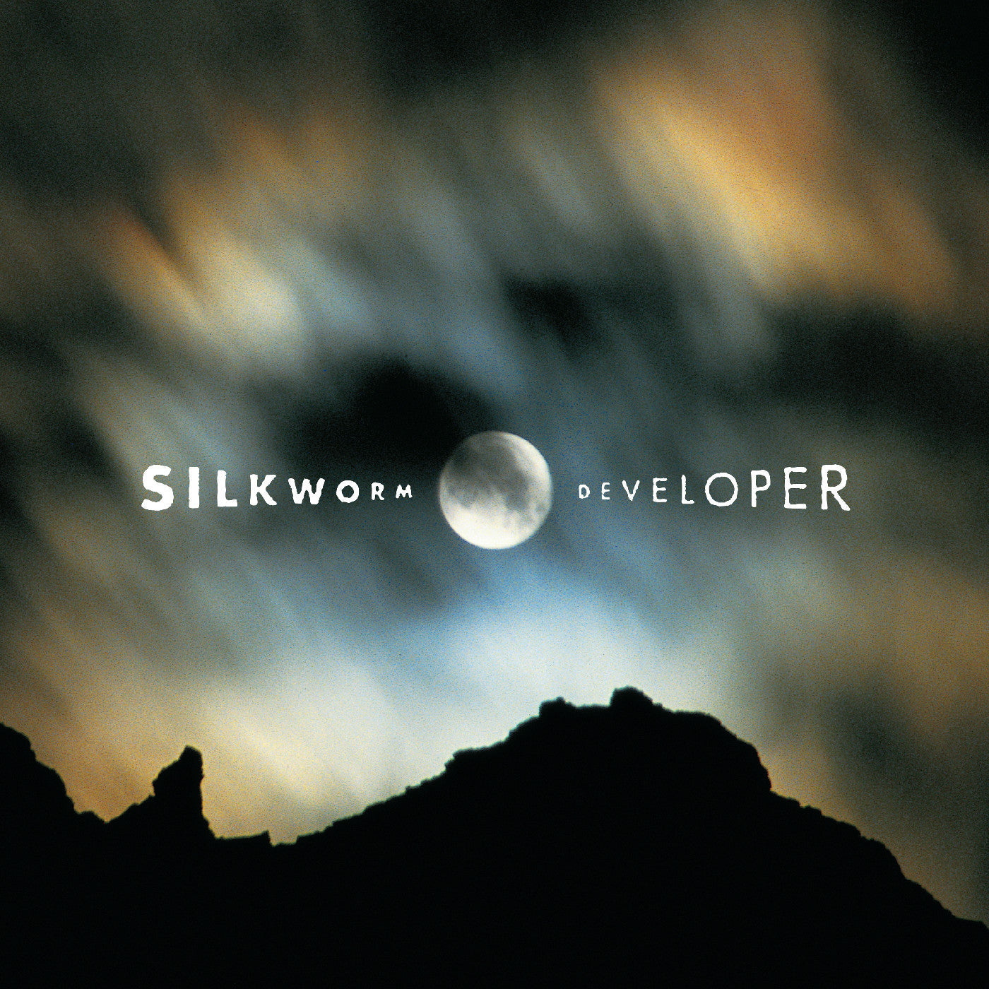 Developer (Deluxe Edition) Vinyl Record